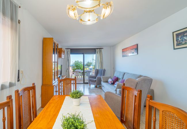 Apartament en Empuriabrava - 0087-MIRABLAU Apartament davant de la platja Apartament en Empuriabrava - 0087-MIRABLAU Apartament davant de la platja