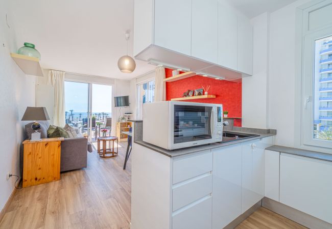 Apartament en Empuriabrava - 0105-GRAN RESERVA Apartament a prop de la platja Apartament en Empuriabrava - 0105-GRAN RESERVA Apartament a prop de la platja