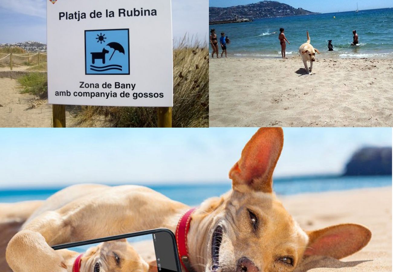 Apartament en Empuriabrava - 0132-PORT MOXO Apartament al canal amb vistes