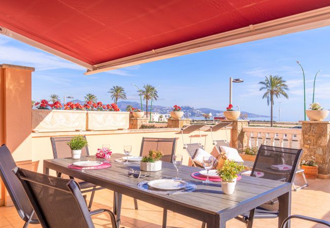 Apartament en Empuriabrava - 0097-MARENOSTRUM Apartament davant de la mar Apartament en Empuriabrava - 0097-MARENOSTRUM Apartament davant de la mar