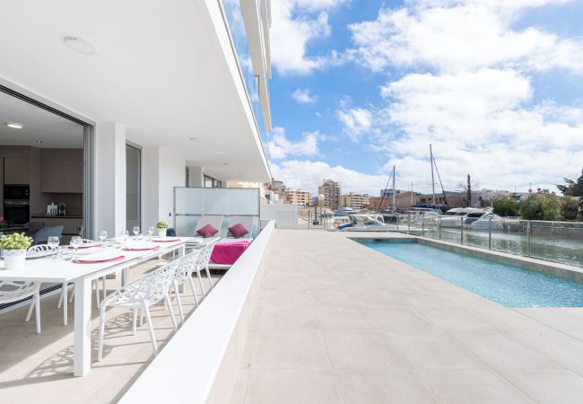 Apartament en Rosas / Roses - 2010-AV.PLATJA Apartament alt standing amb piscina comunitària i pàrquing Apartament en Rosas / Roses - 2010-AV.PLATJA Apartament alt standing amb piscina comunitària i pàrquing