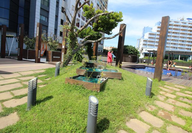 Appartement in Empuriabrava - 0058-CRISTALL MAR Appartement met gemeenschappelijk zwembad Appartement in Empuriabrava - 0058-CRISTALL MAR Appartement met gemeenschappelijk zwembad