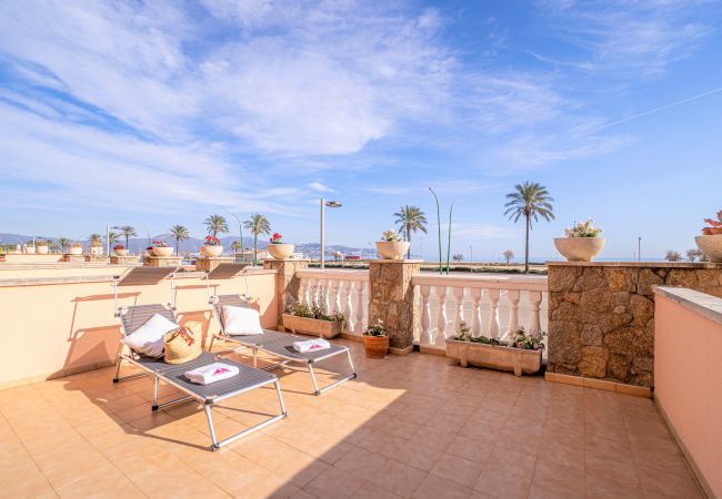 Apartment in Empuriabrava - 0097-MARENOSTRUM Beachfront apartment Apartment in Empuriabrava - 0097-MARENOSTRUM Beachfront apartment