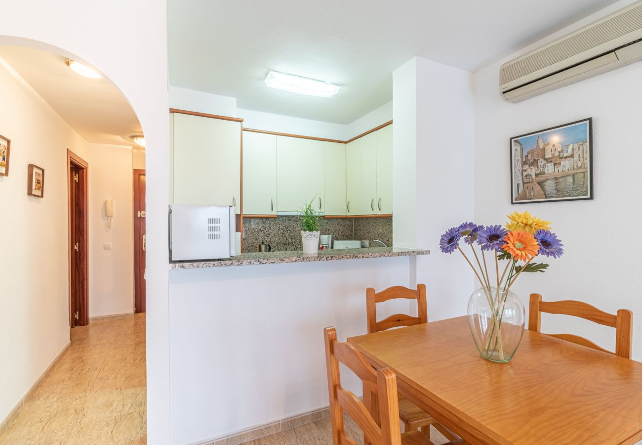 Apartment in Empuriabrava -  0089-MIRABLAU Apartment with side views of the beach