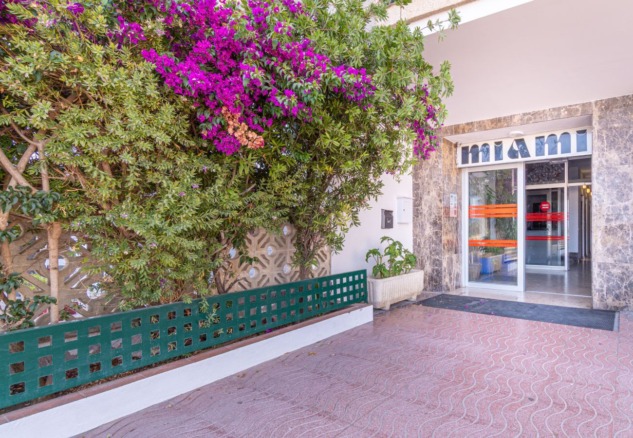 Studio à Empuriabrava - 0111-MIAMI Studio avec vue sur la mer